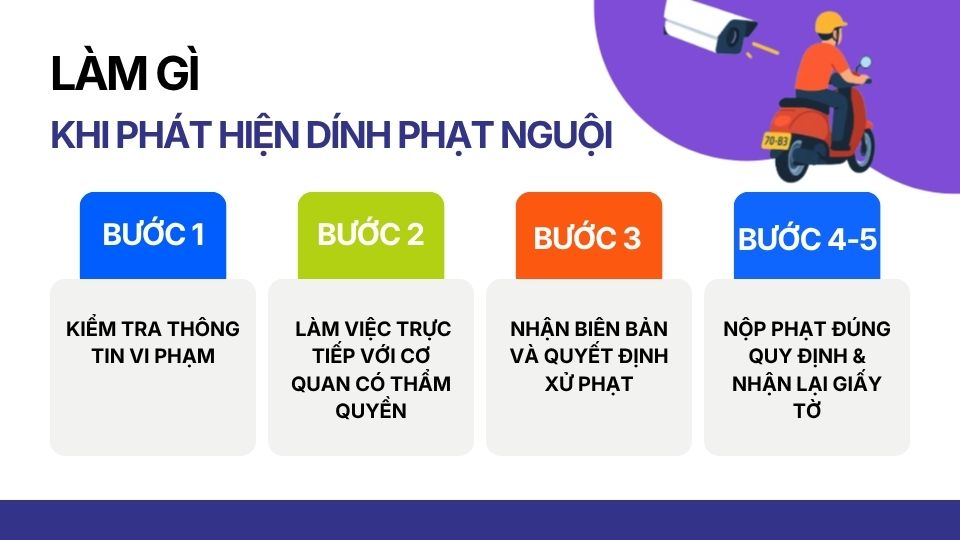 Làm gì khi dính phạt nguội trên hệ thống