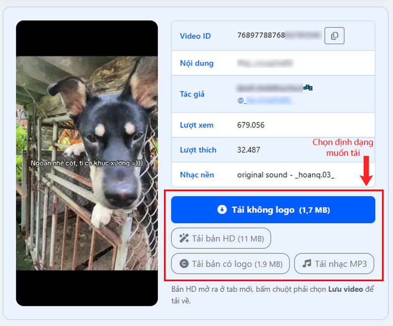 tải video tiktok không logo